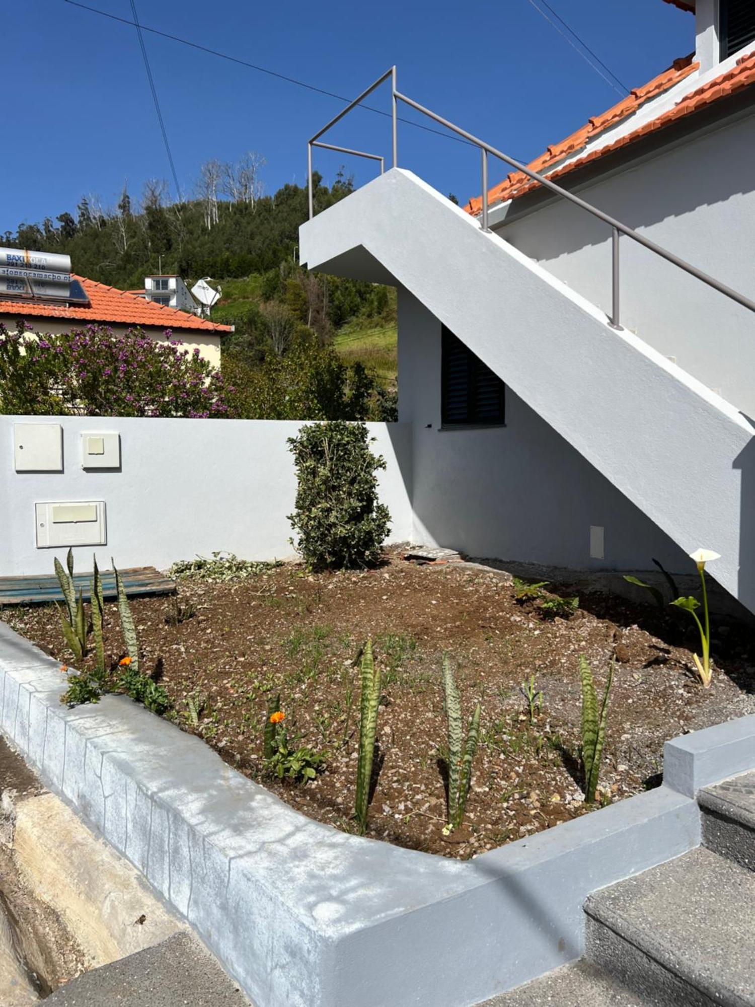 Villa Success House à Calheta  Extérieur photo